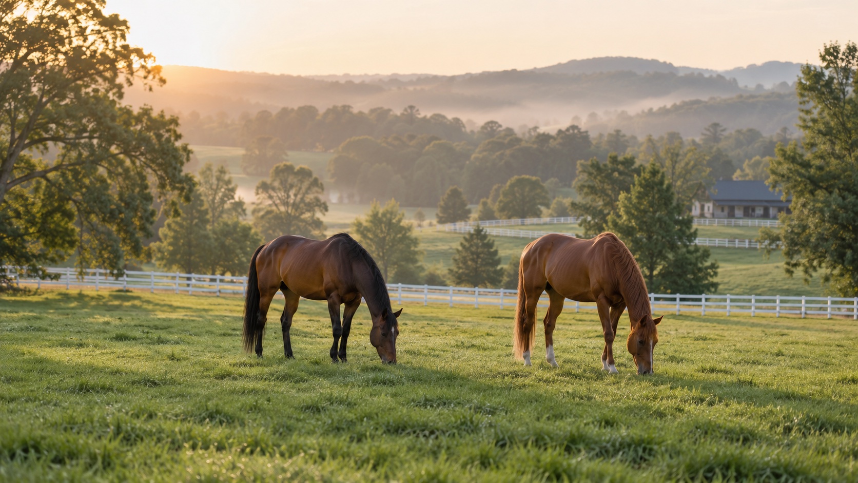 Two horses grazing in an expansive green pasture bordered by white fences